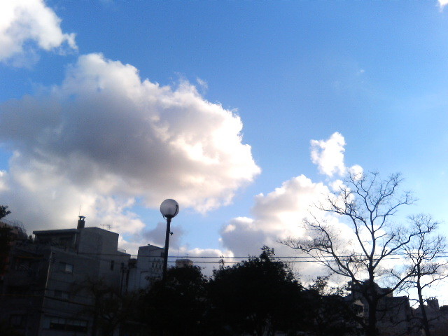 img0008.jpg