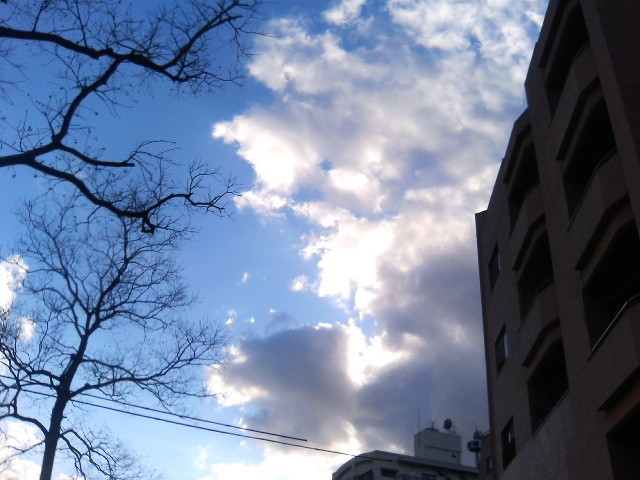 img0009.jpg