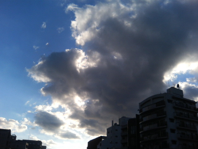 img0010.jpg