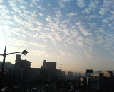 img0002.jpg