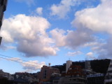 img0007.jpg