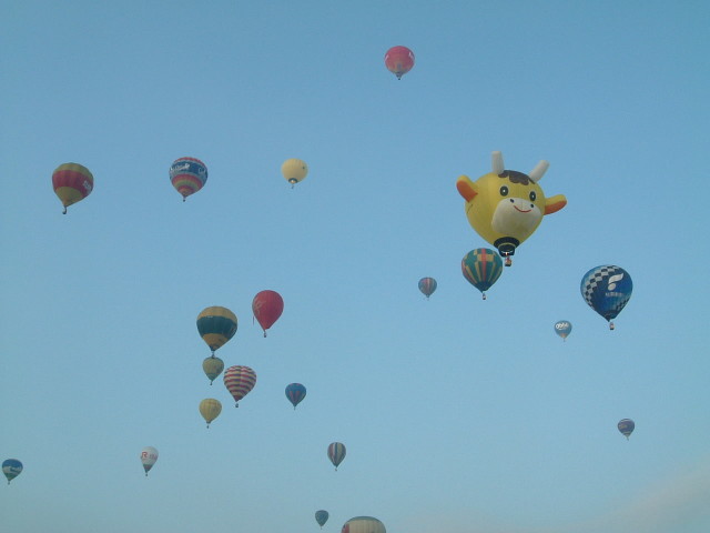 img0003.jpg